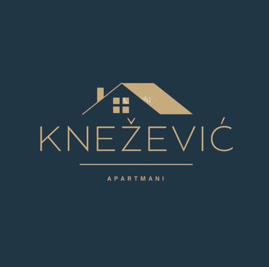 Knezevic Apartman Podgorica Esterno foto